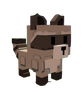Raccoon